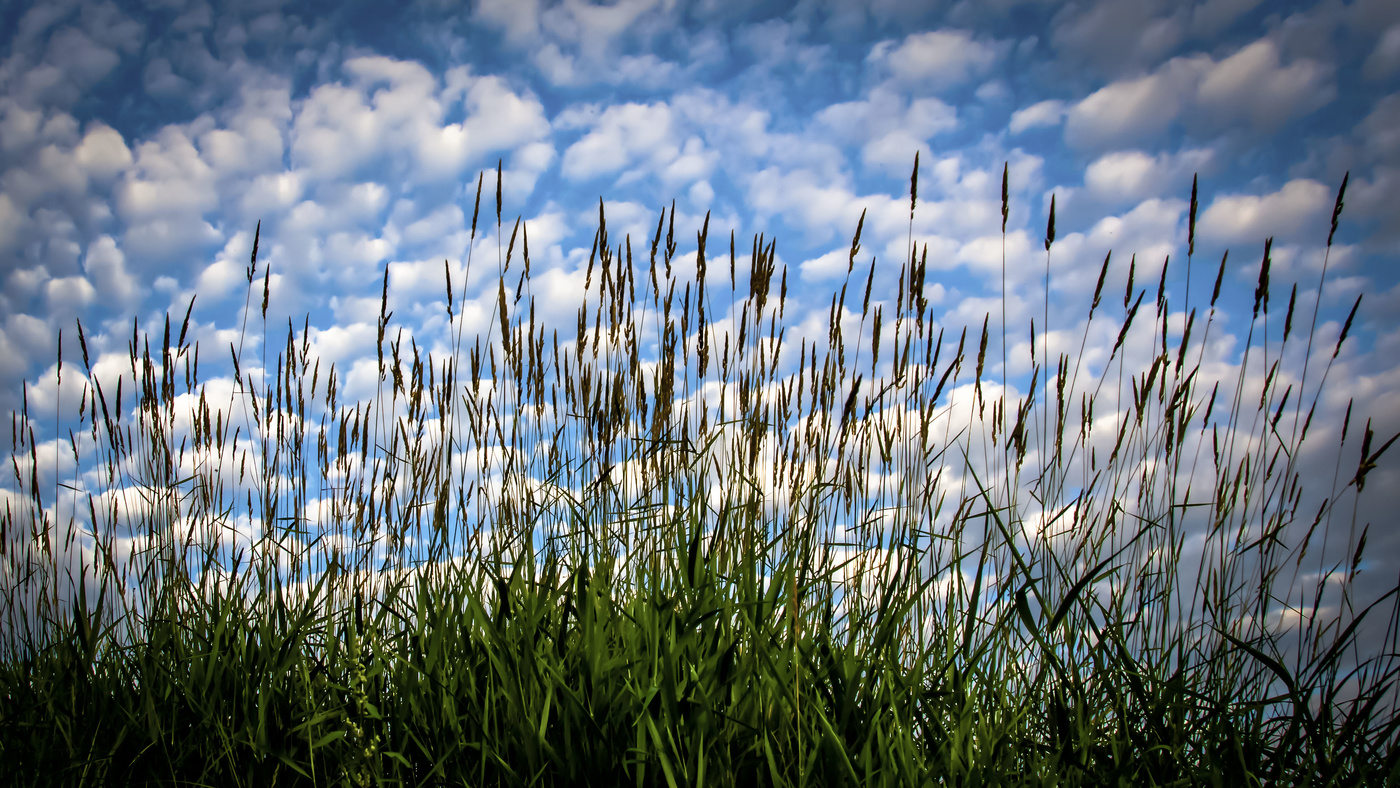 Поднебесная...