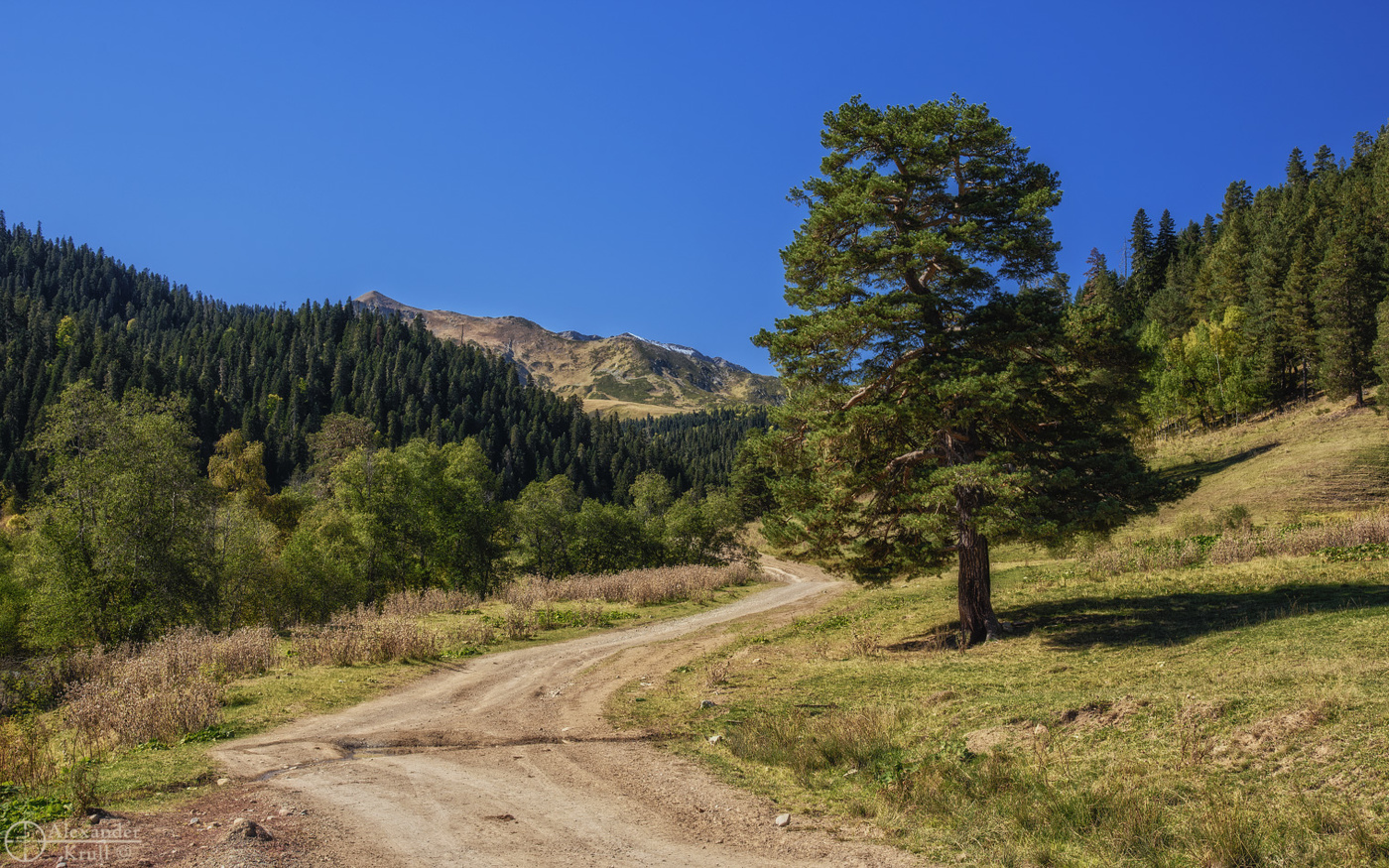 Погожим днем в горах...