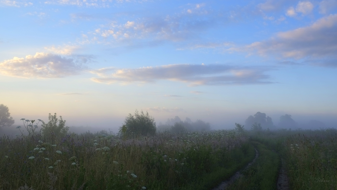 Туманное утро лета.