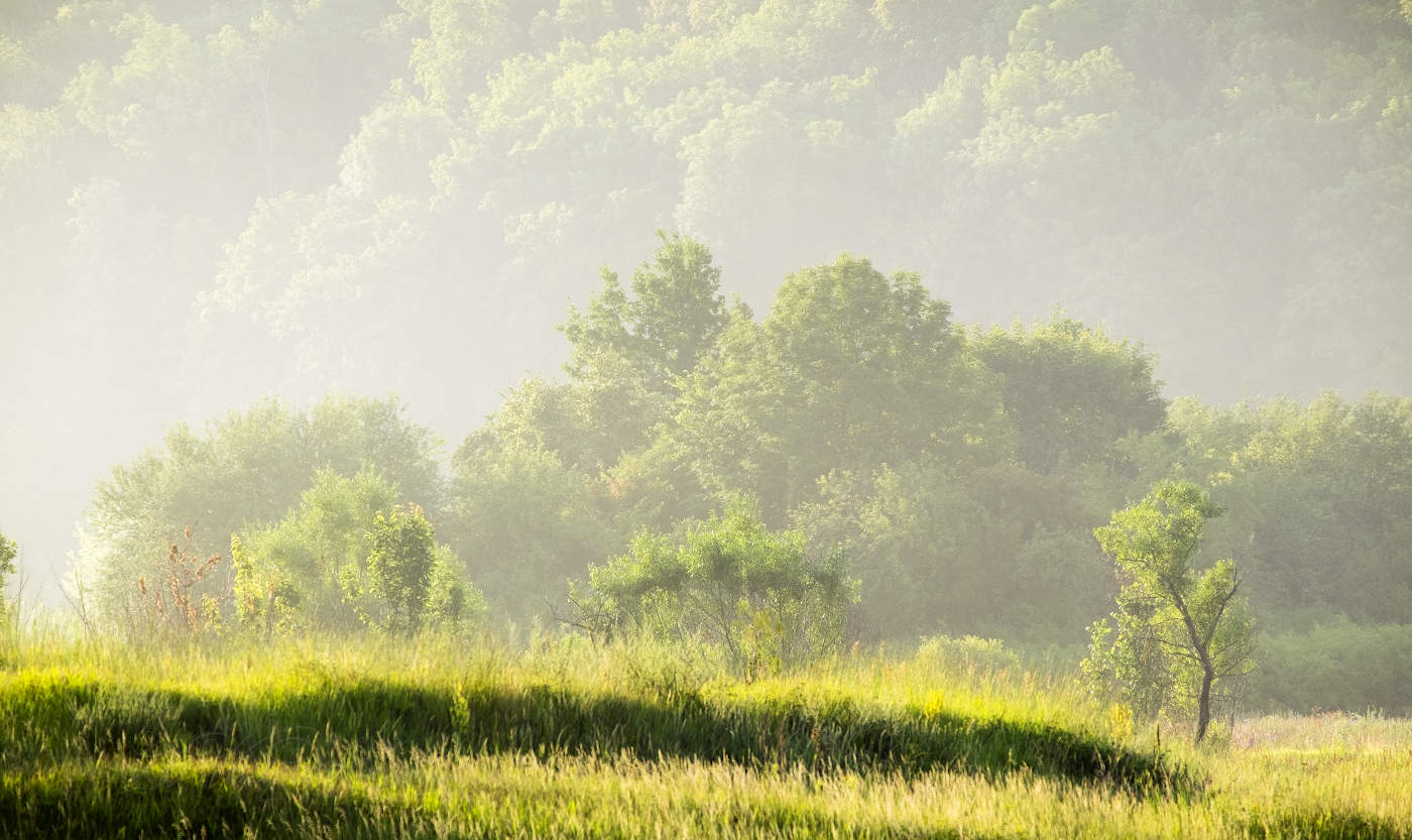 Прозрачное утро
