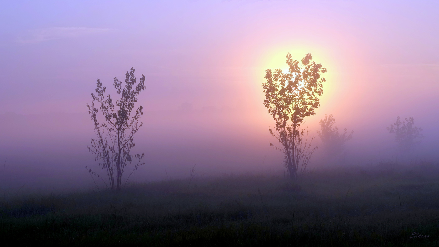 Сильный туман.
