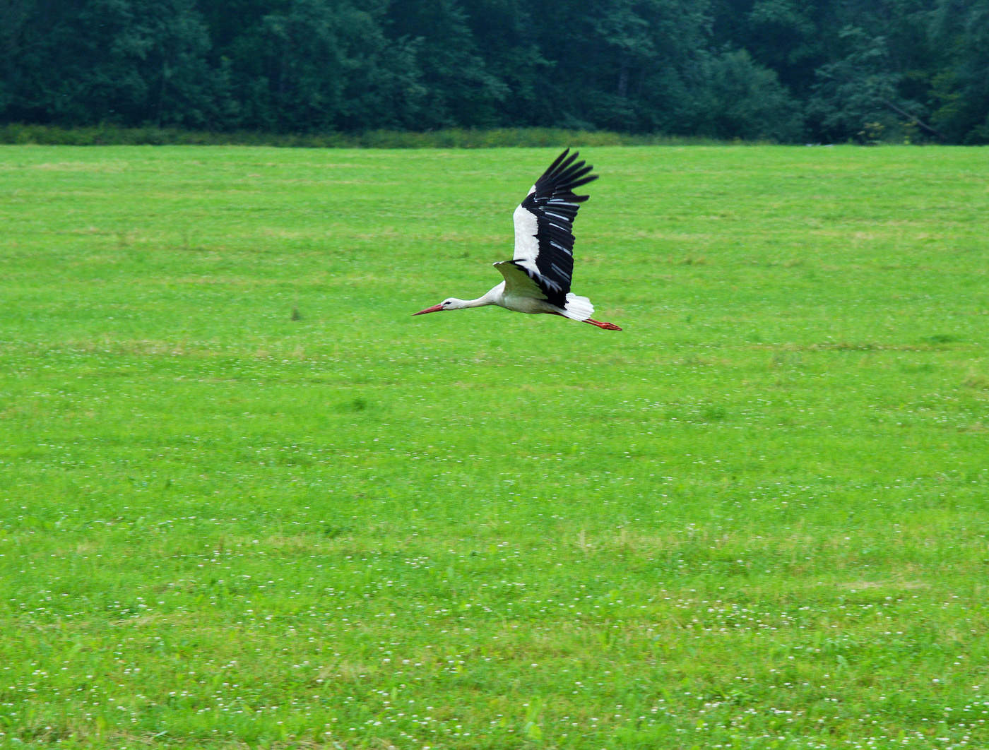 Полетел по своим важным делам ...