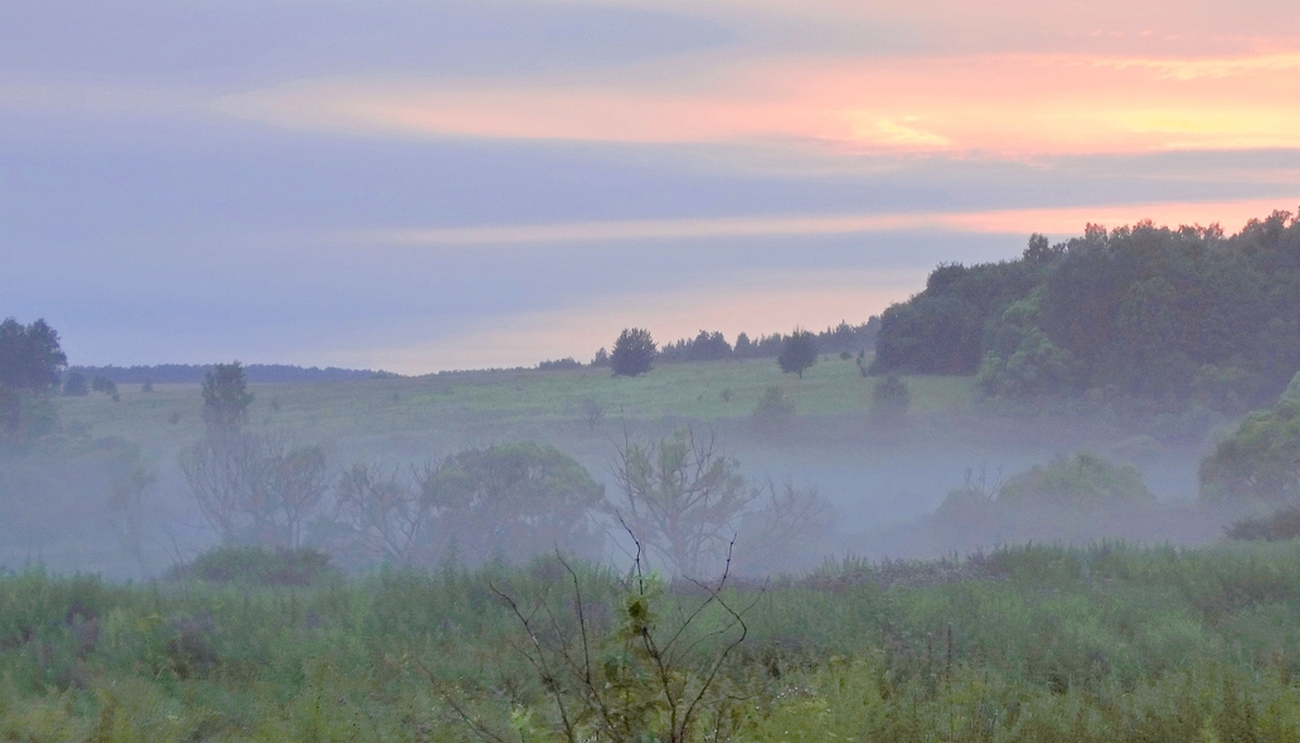 Утро в тумане