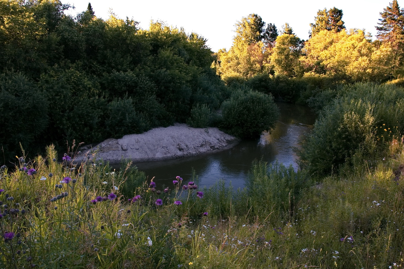 *Лесная речка**