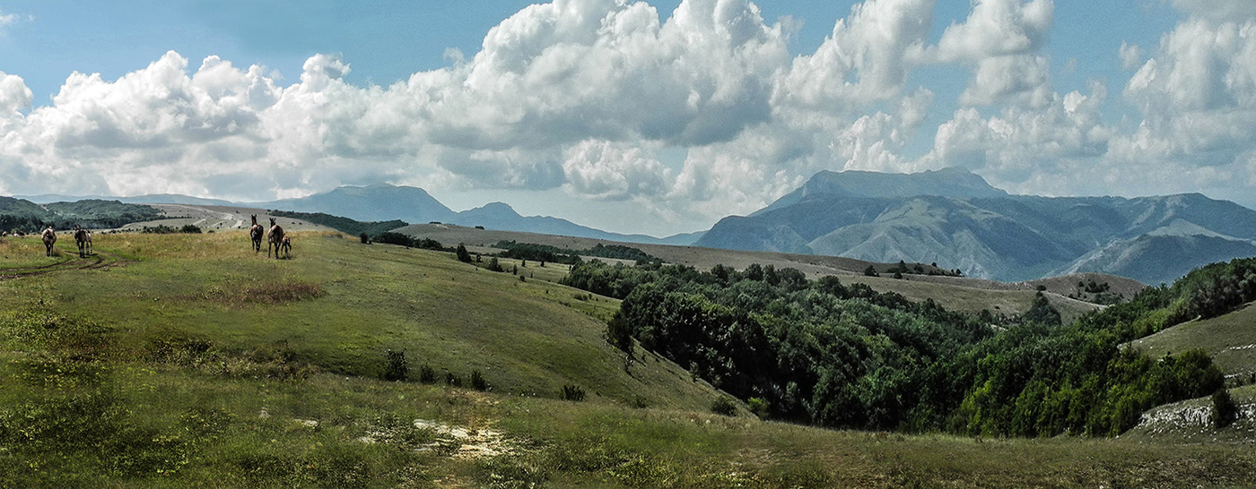 Долгоруковская Яйла
