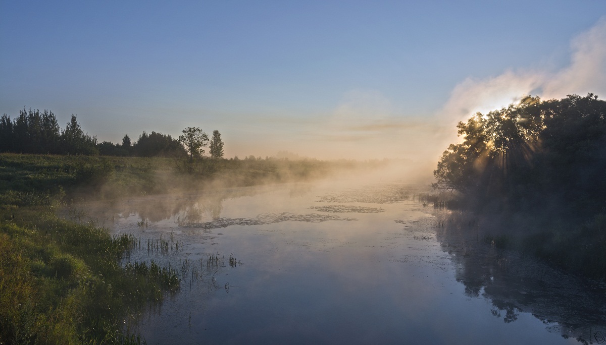 Сквозь туман.