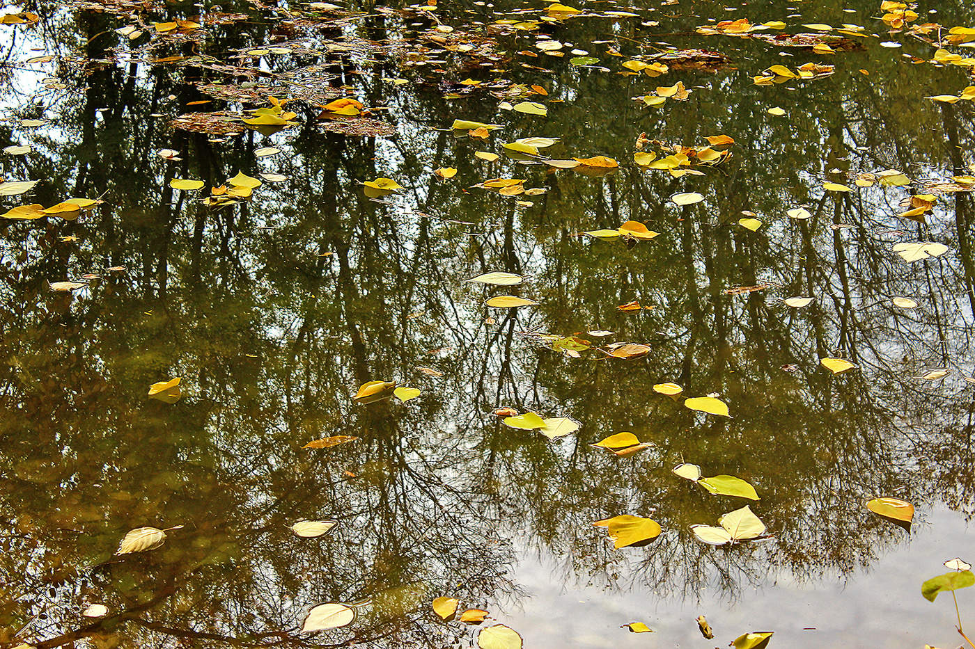 Все это было, было, было...