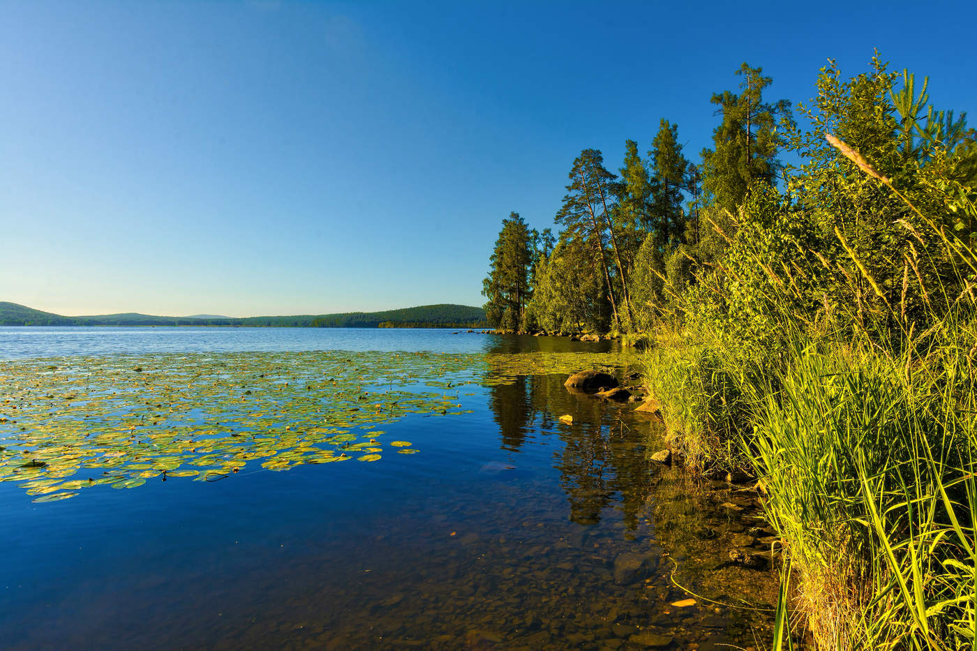 Тихая заводь