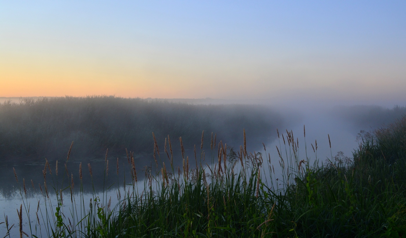 В летнем тумане