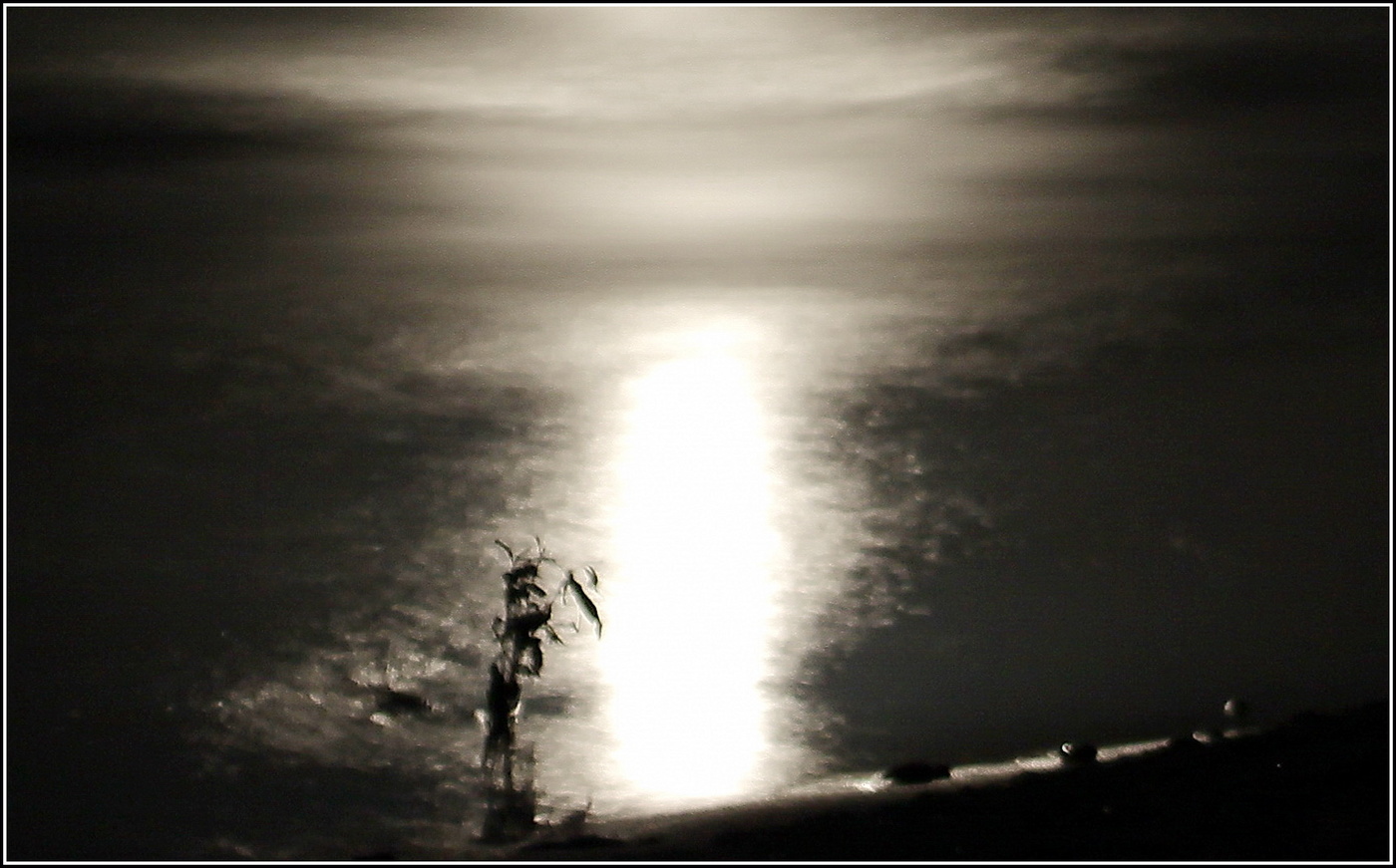 лунный этюд