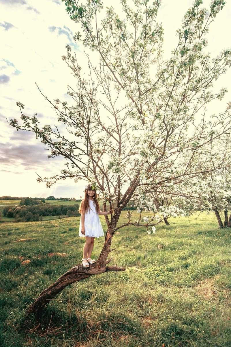 В дни вечной весны