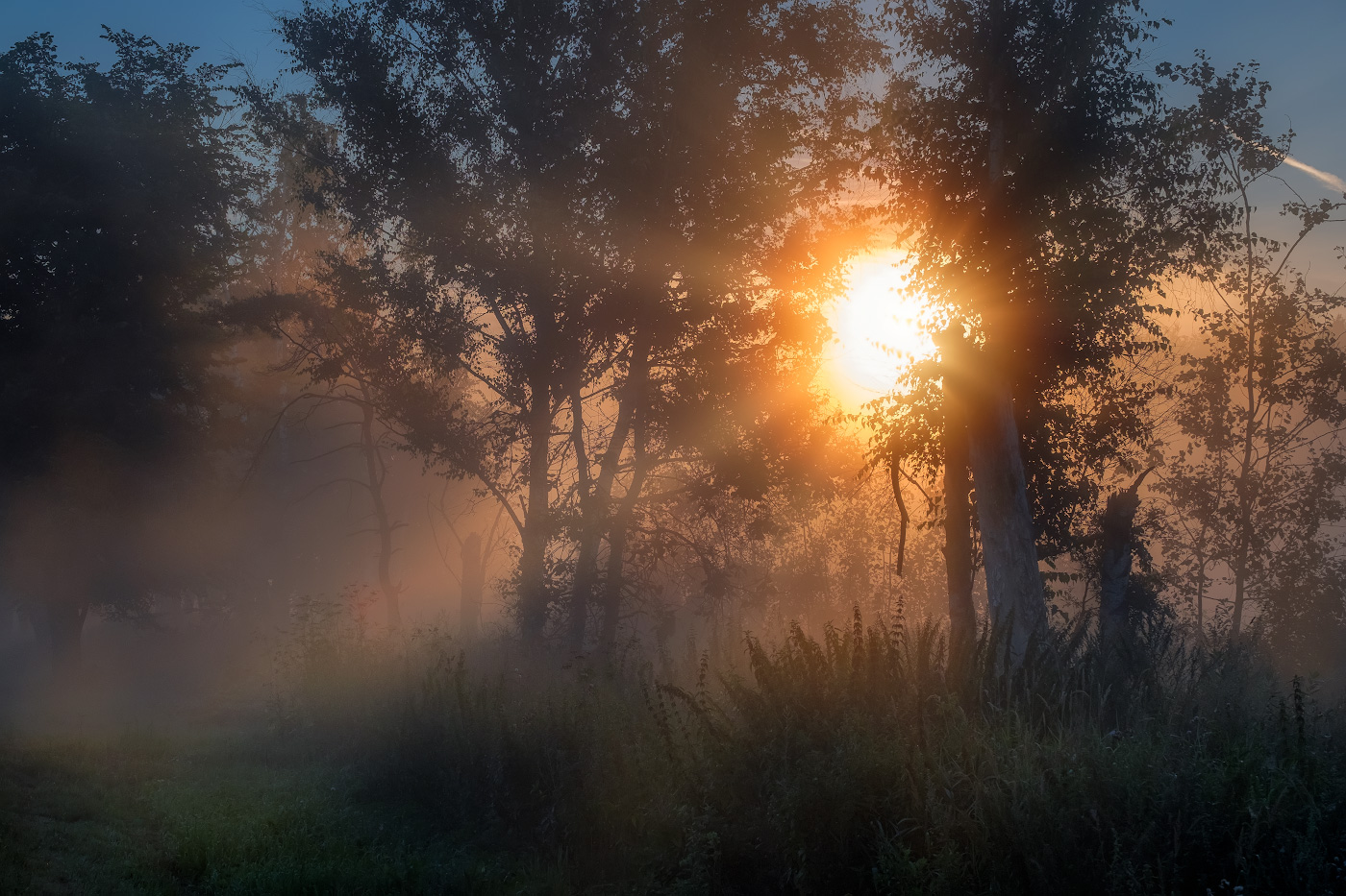 Солнечный взрыв