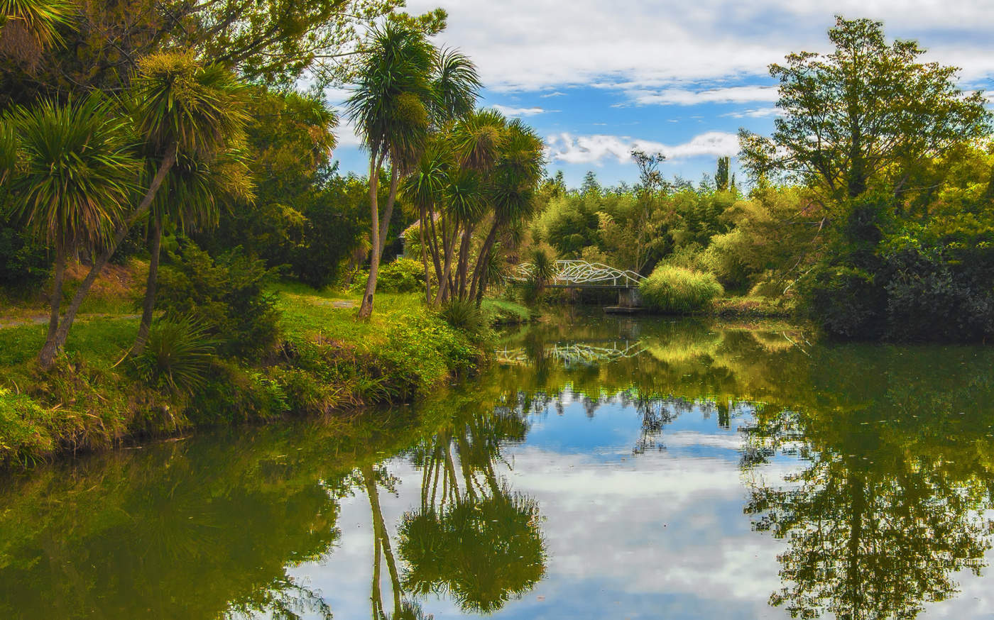В старом парке