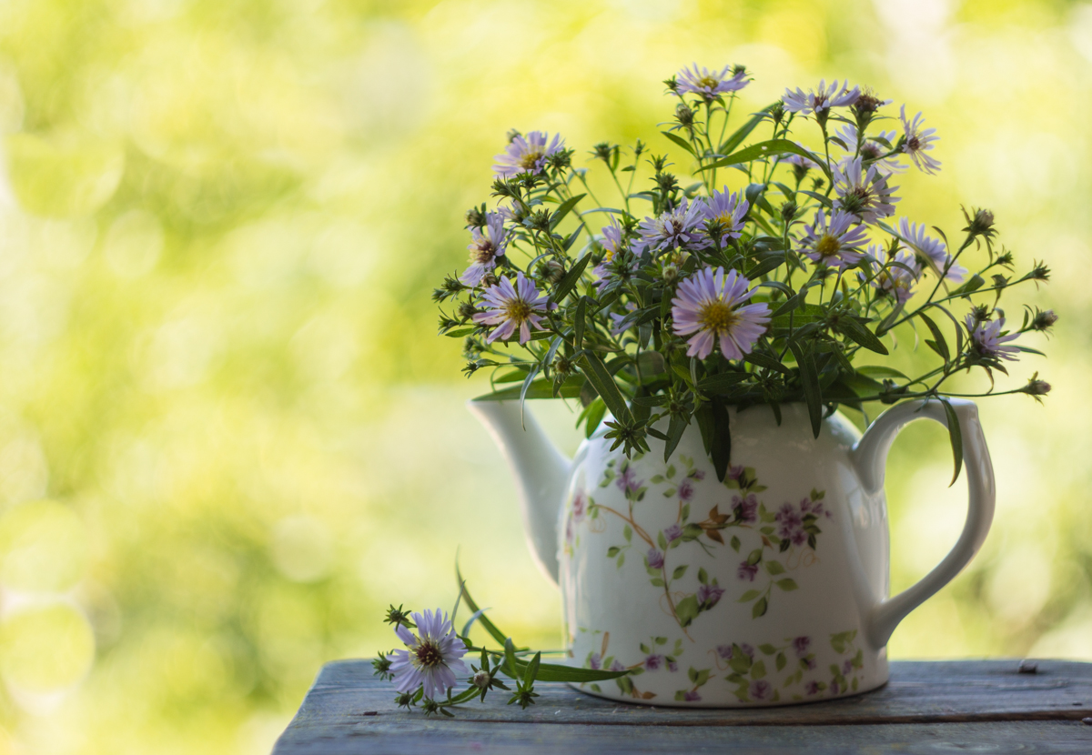 Летние букеты