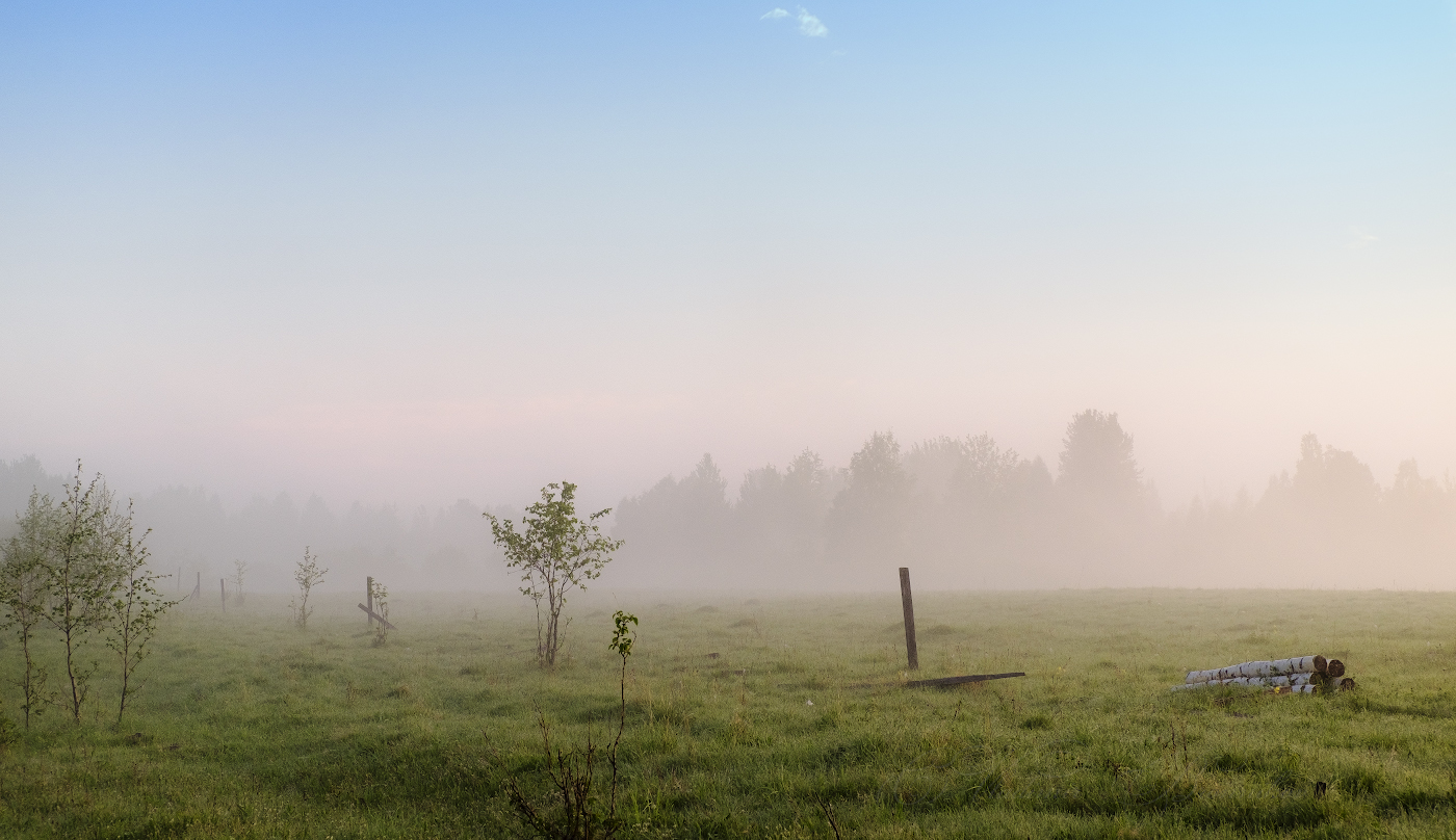 Свежее утро,нежный рассвет