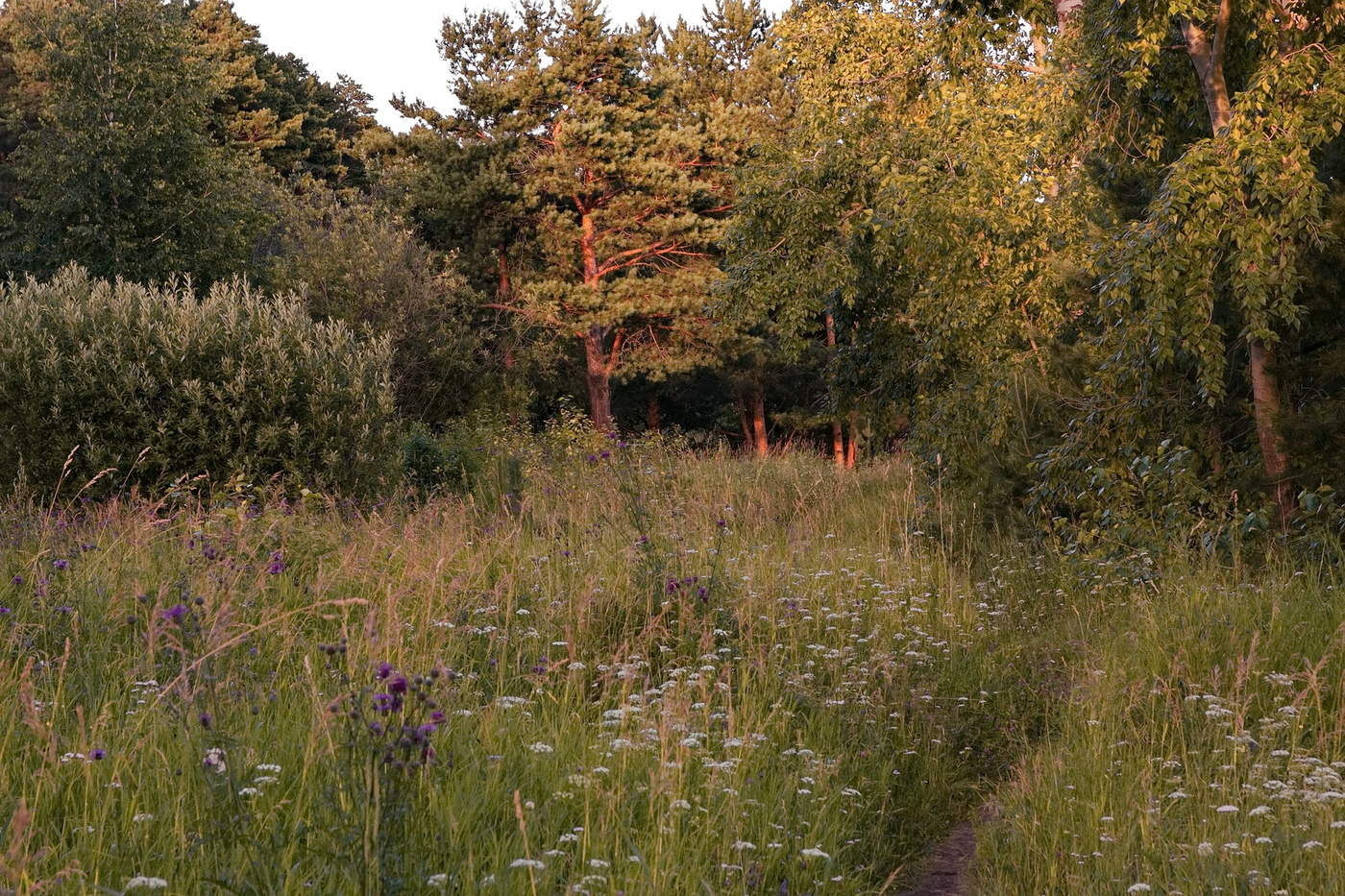 Теплый вечер