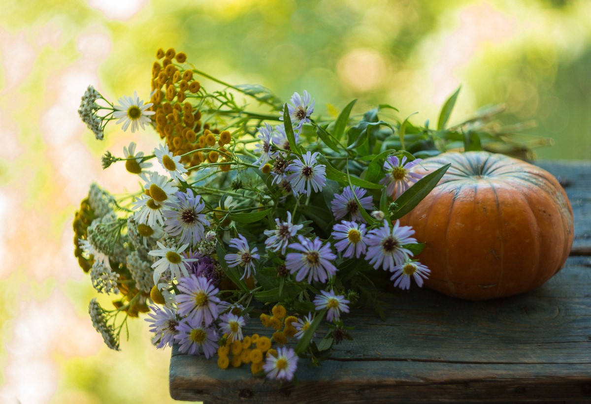 в солнечный день