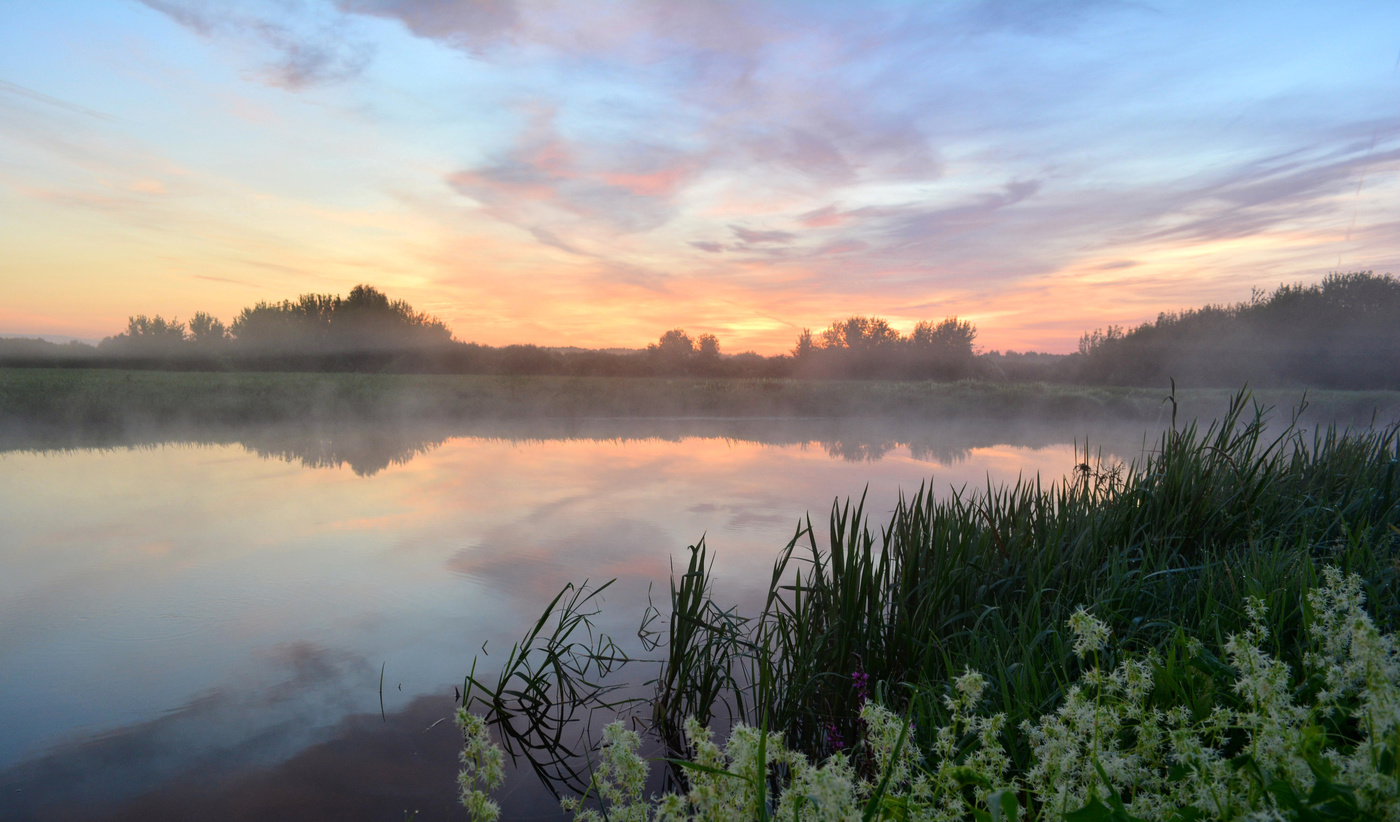 Августовское утро..