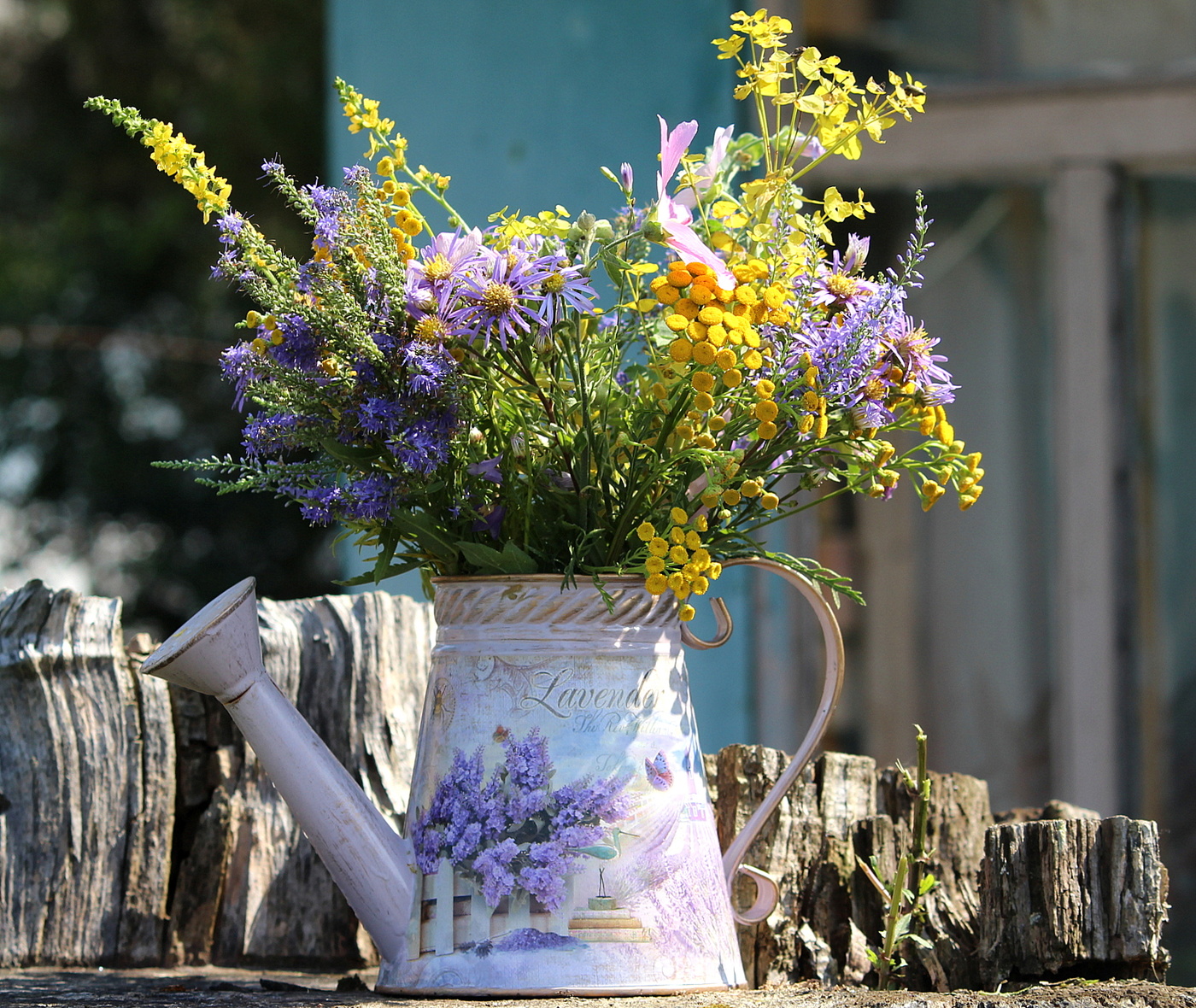 Травы-муравы