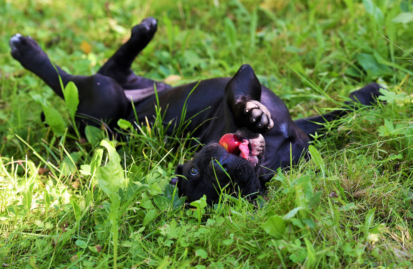 Жизнь прекрасна ...
