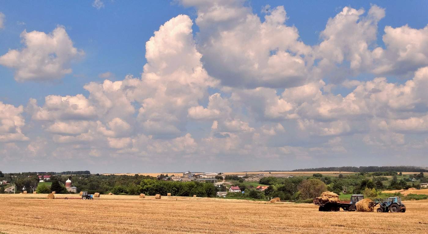 Уборочная страда в разгаре