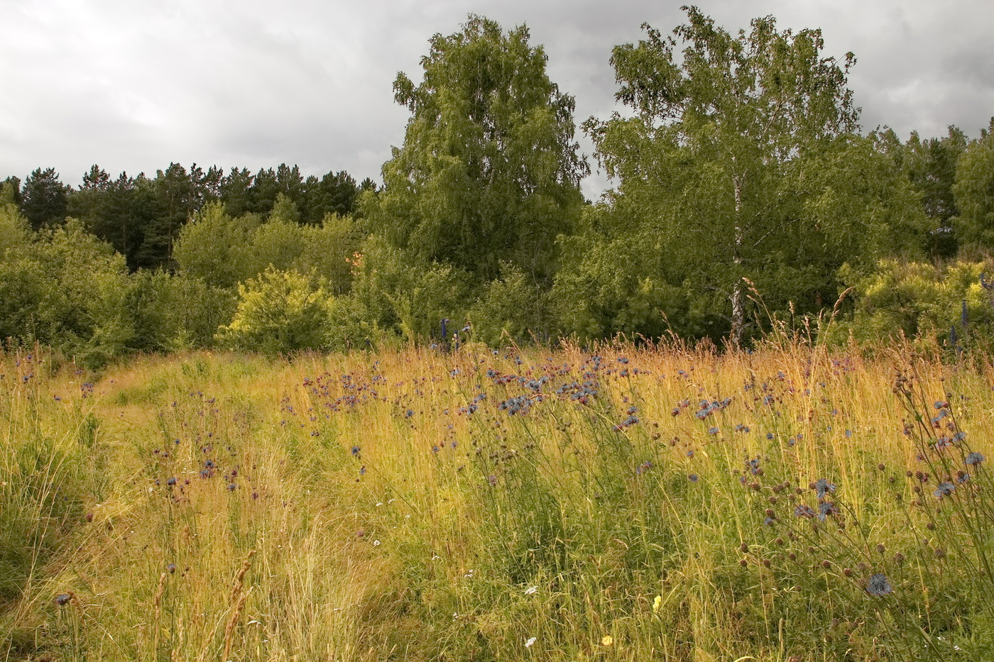 Скоро осень