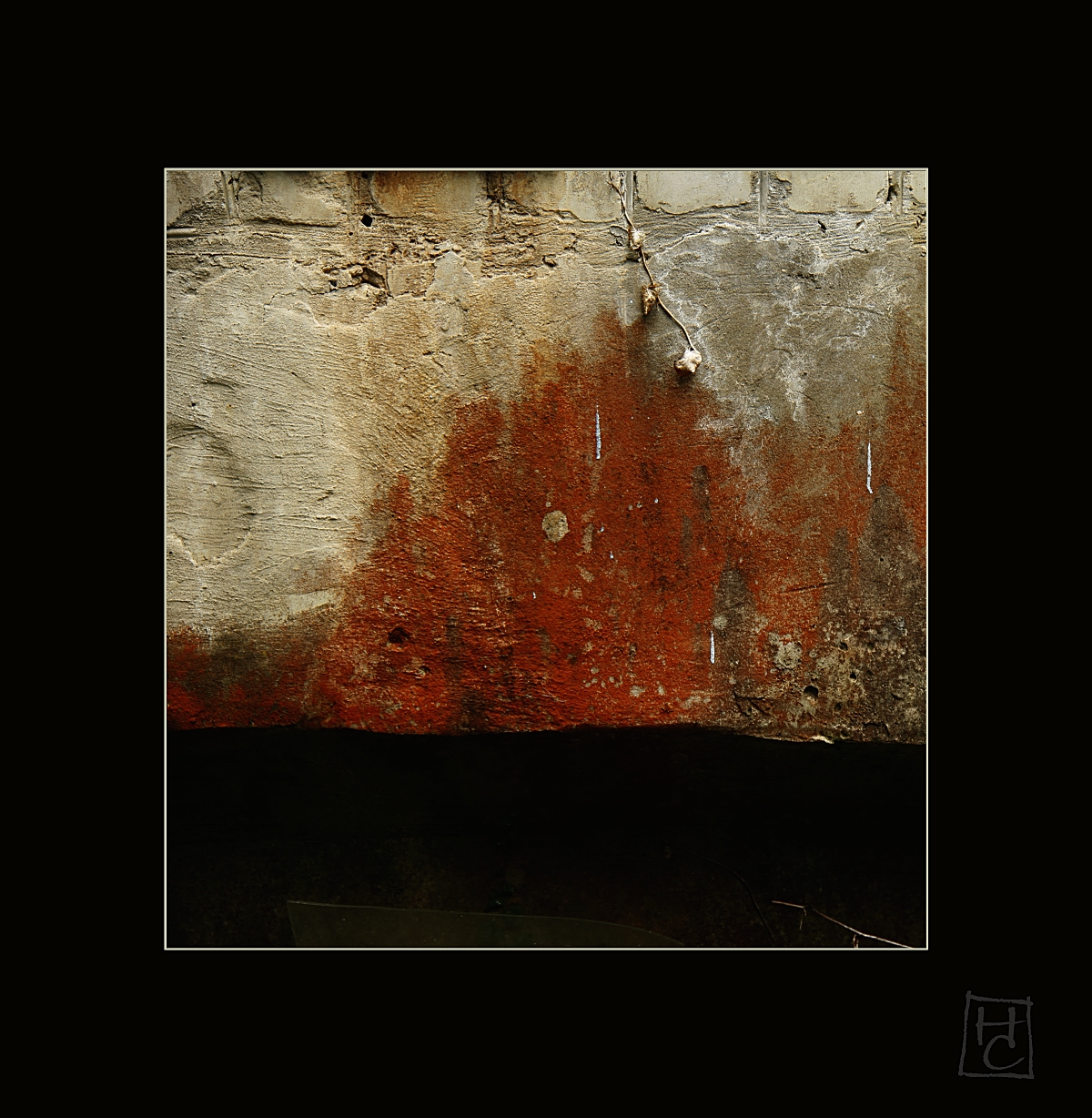 везде жизнь