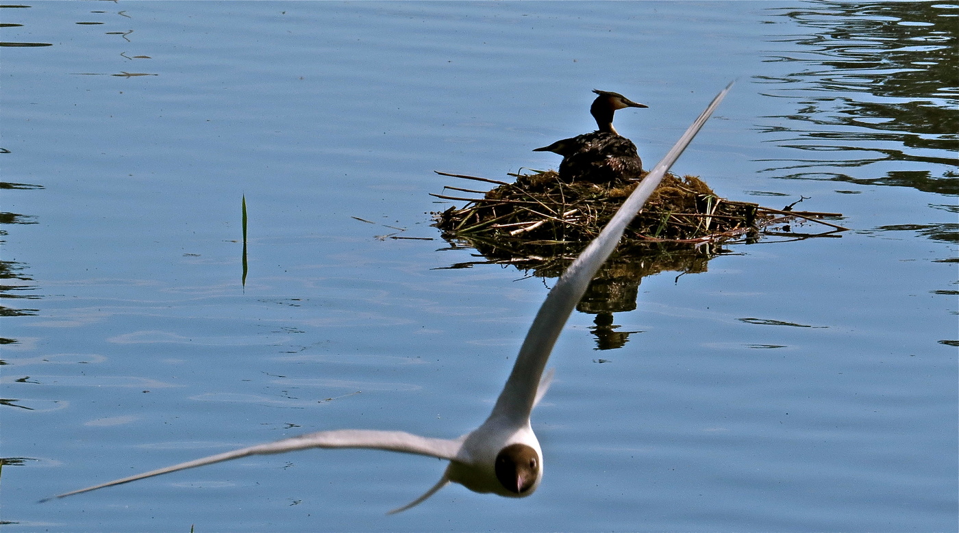 Драматическая зарисовка
