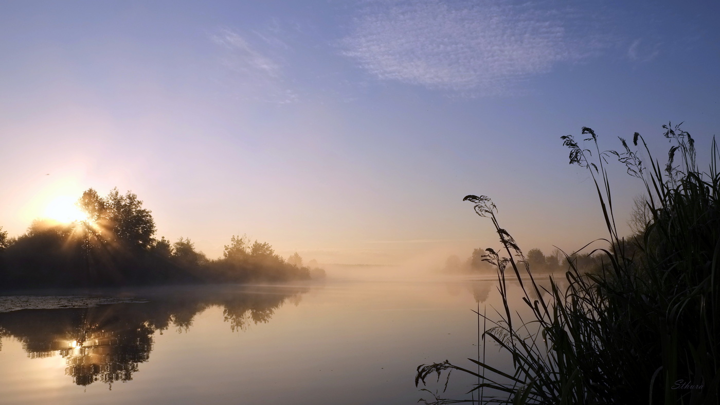 Тихое утро лета.