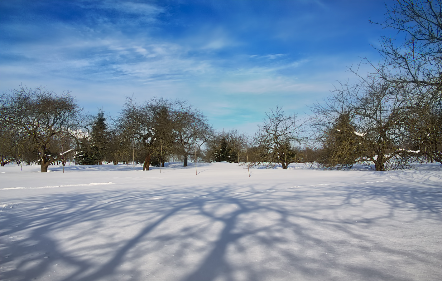 Силуэты на снегу