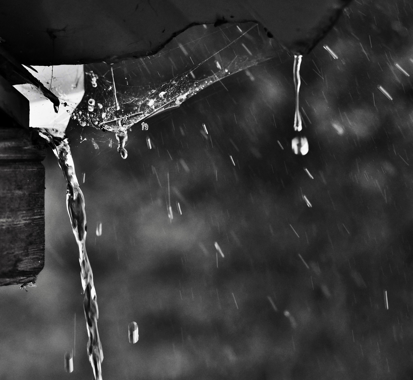 "Дожди, как жизнь, всегда разнообразные..."