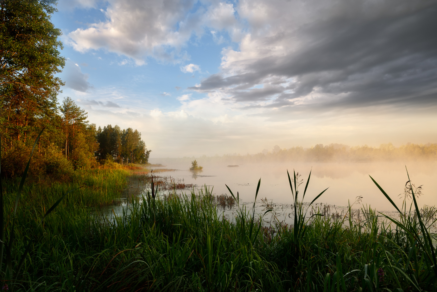 тревожное утро