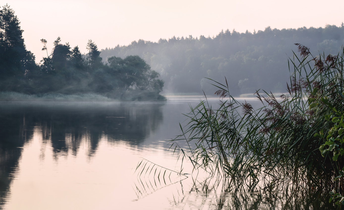 Летние туманы