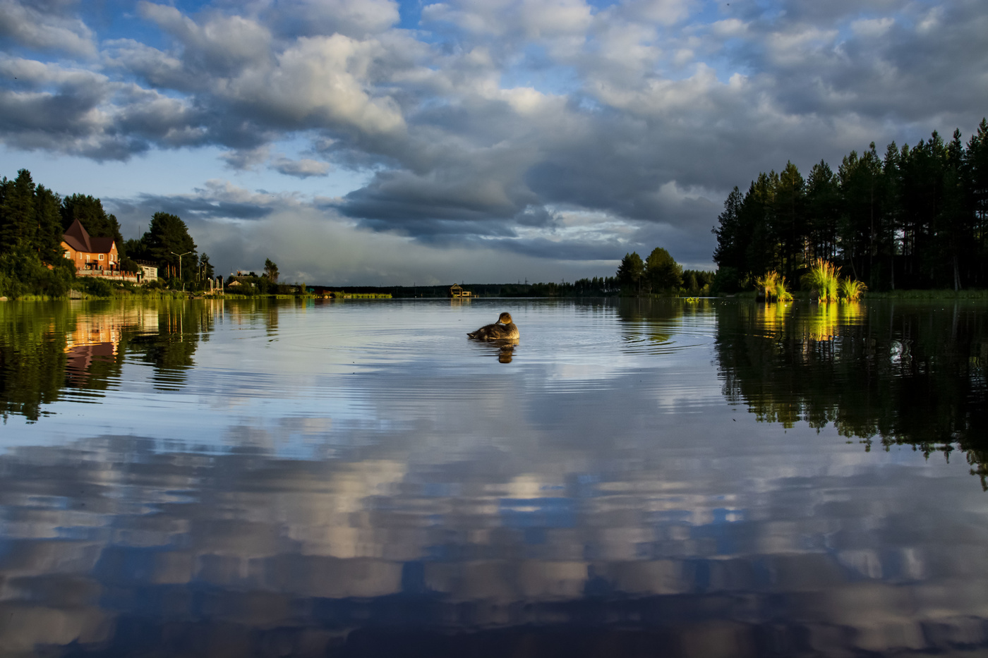 В заводинке