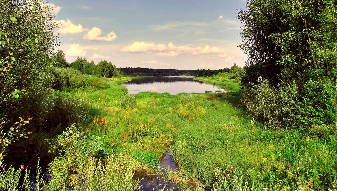 Травы-муравы