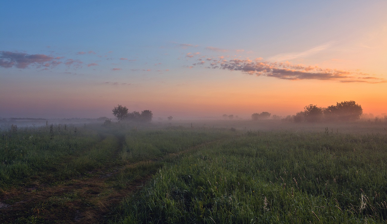 Травы-муравы