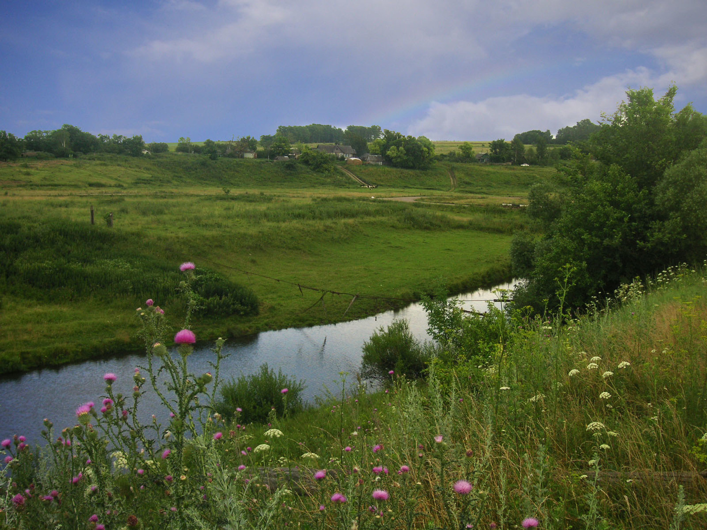 Травы-муравы