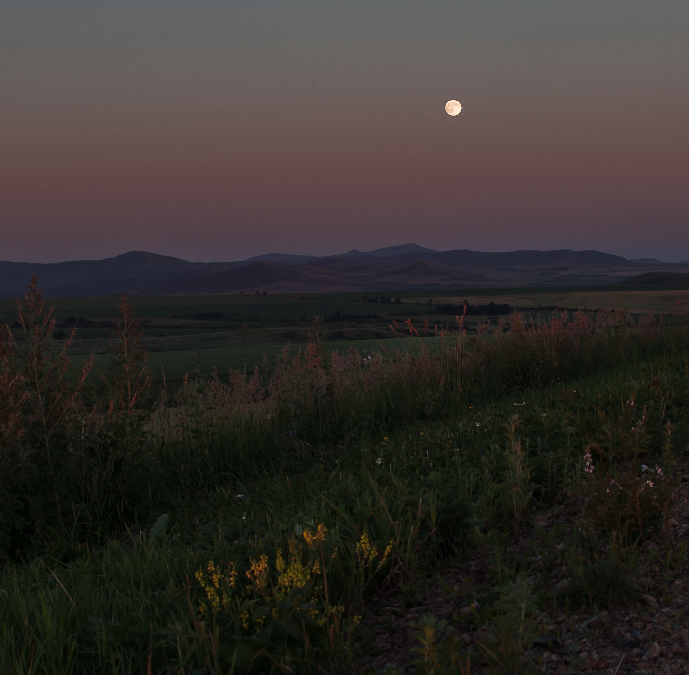 Травы-муравы