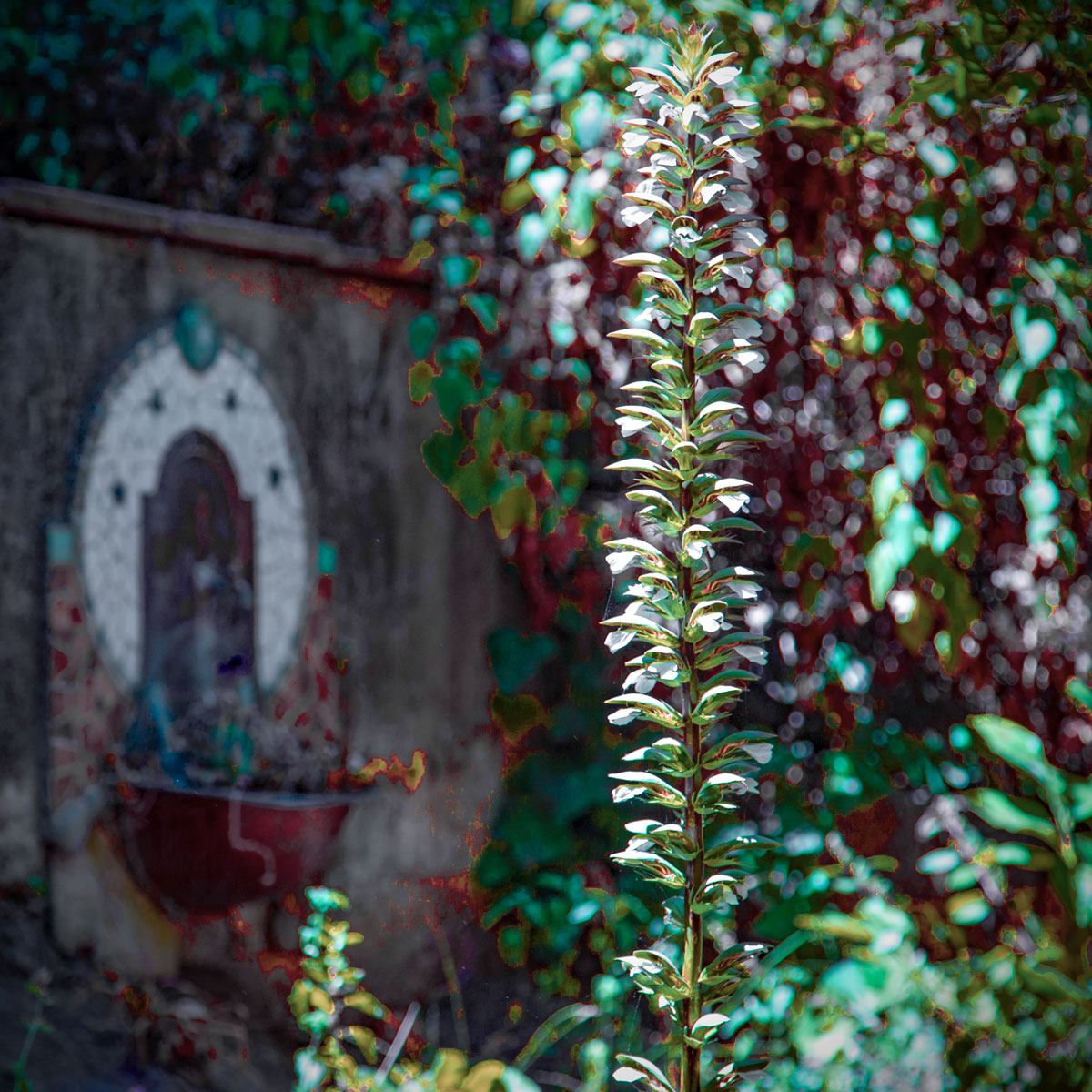 Травы-муравы