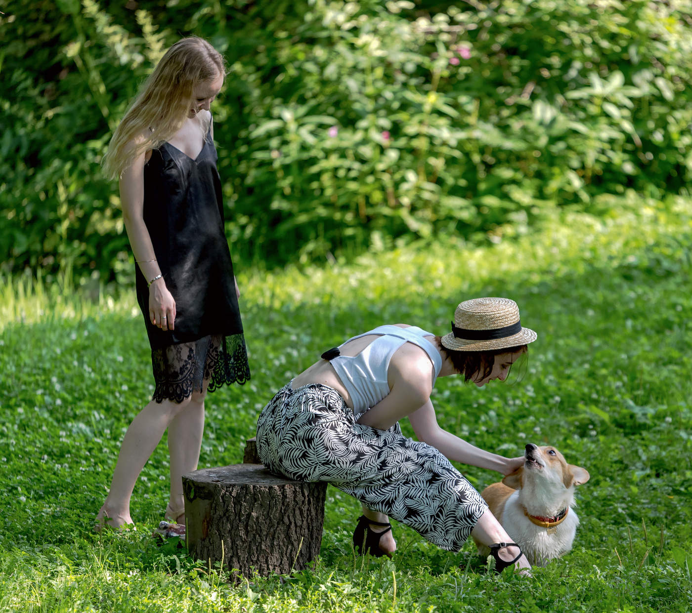 Травы-муравы