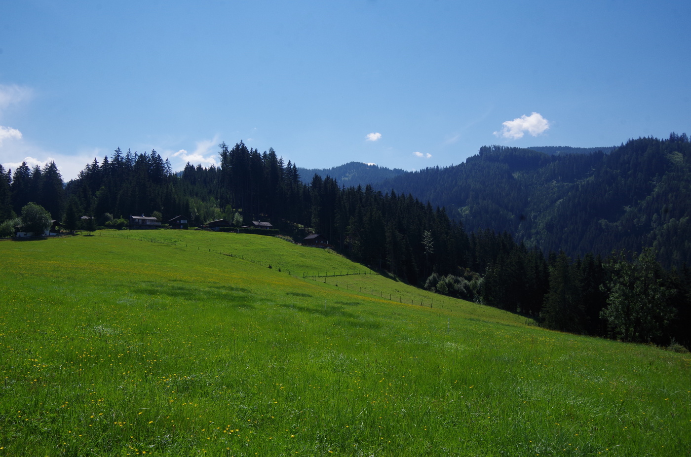 Травы-муравы