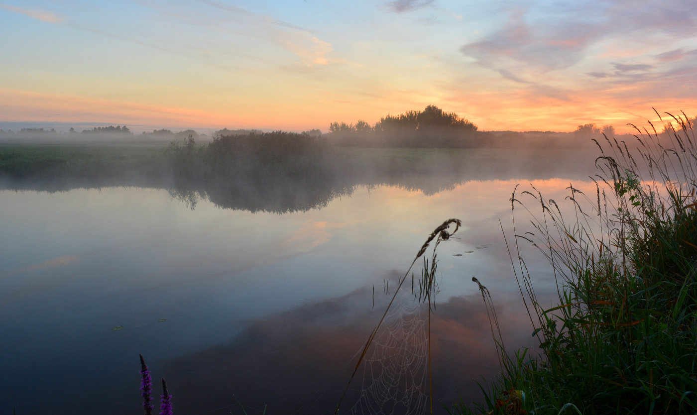 Утреннее Полесье