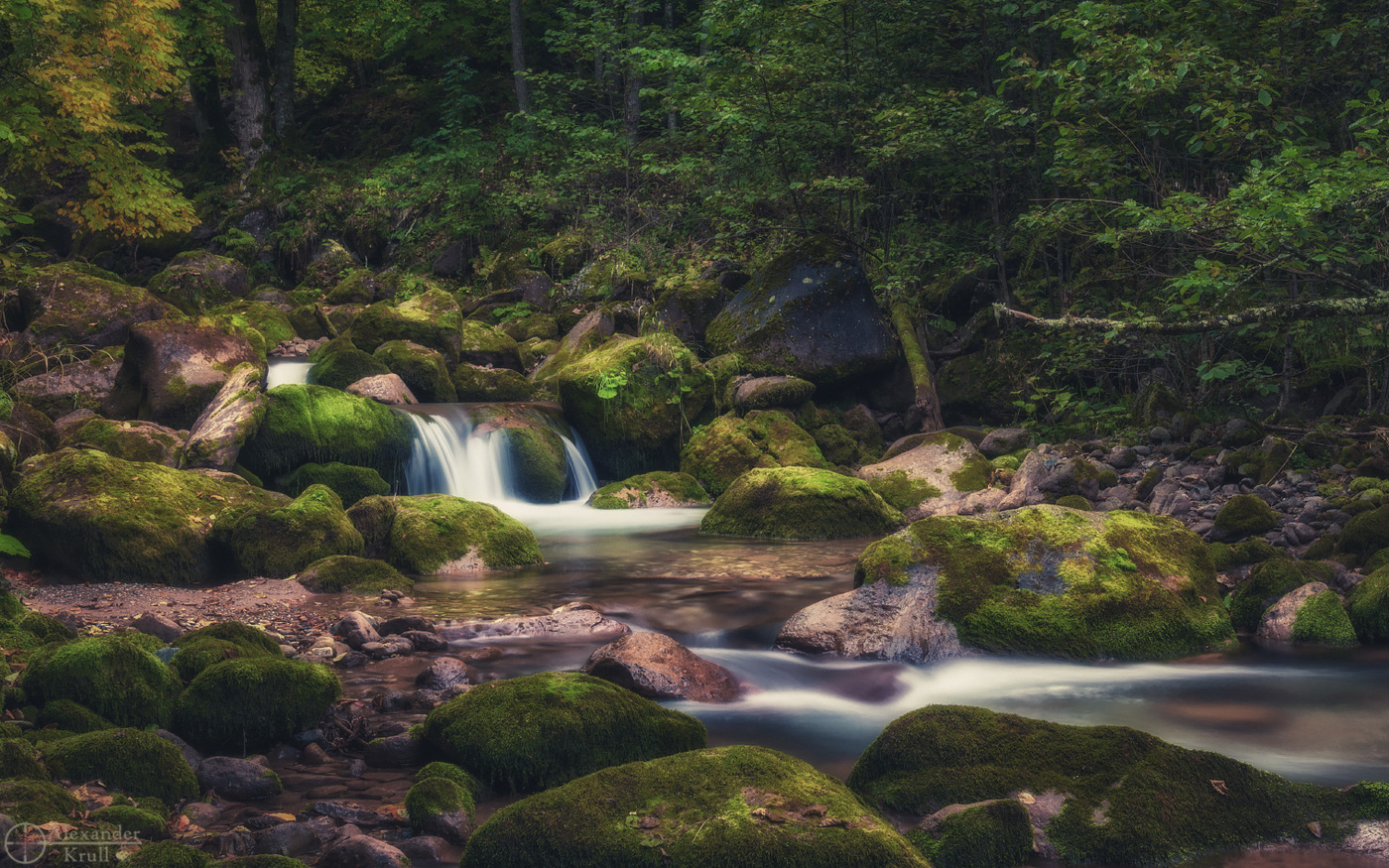 Средь замшелых камней...