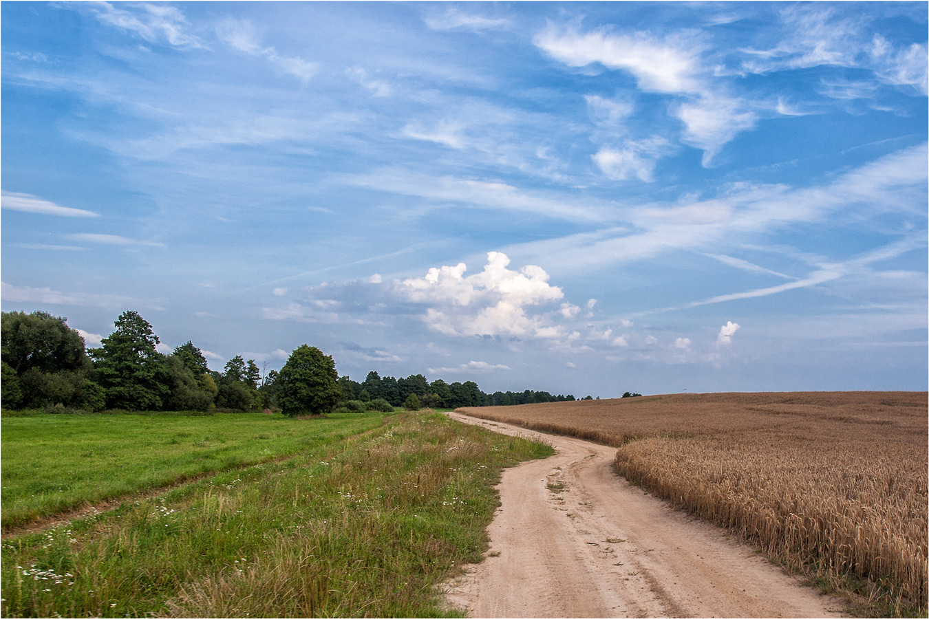 Поле, дорога, лето