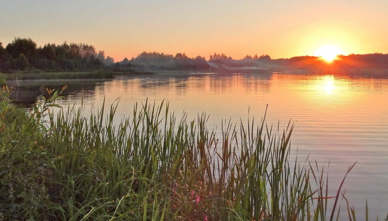 Жаркий августовский вечер