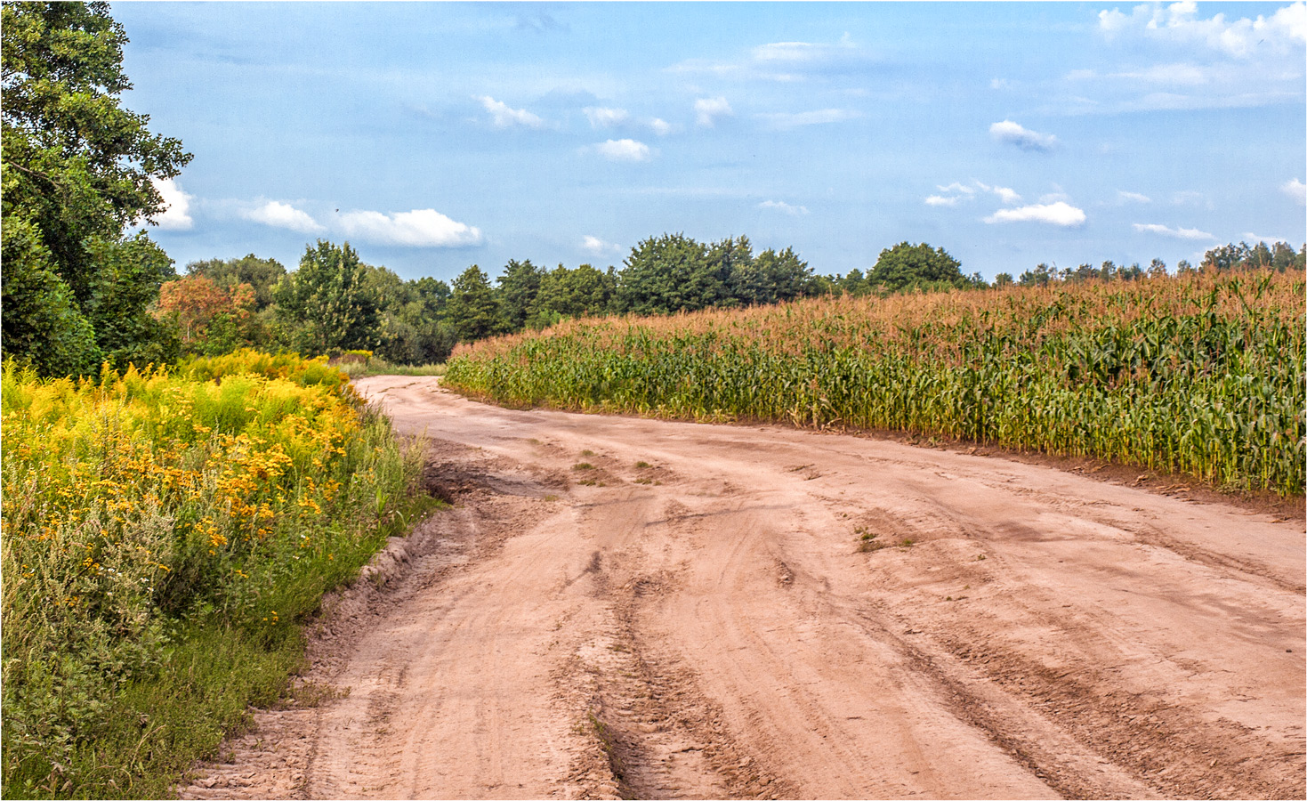 Красочный июль