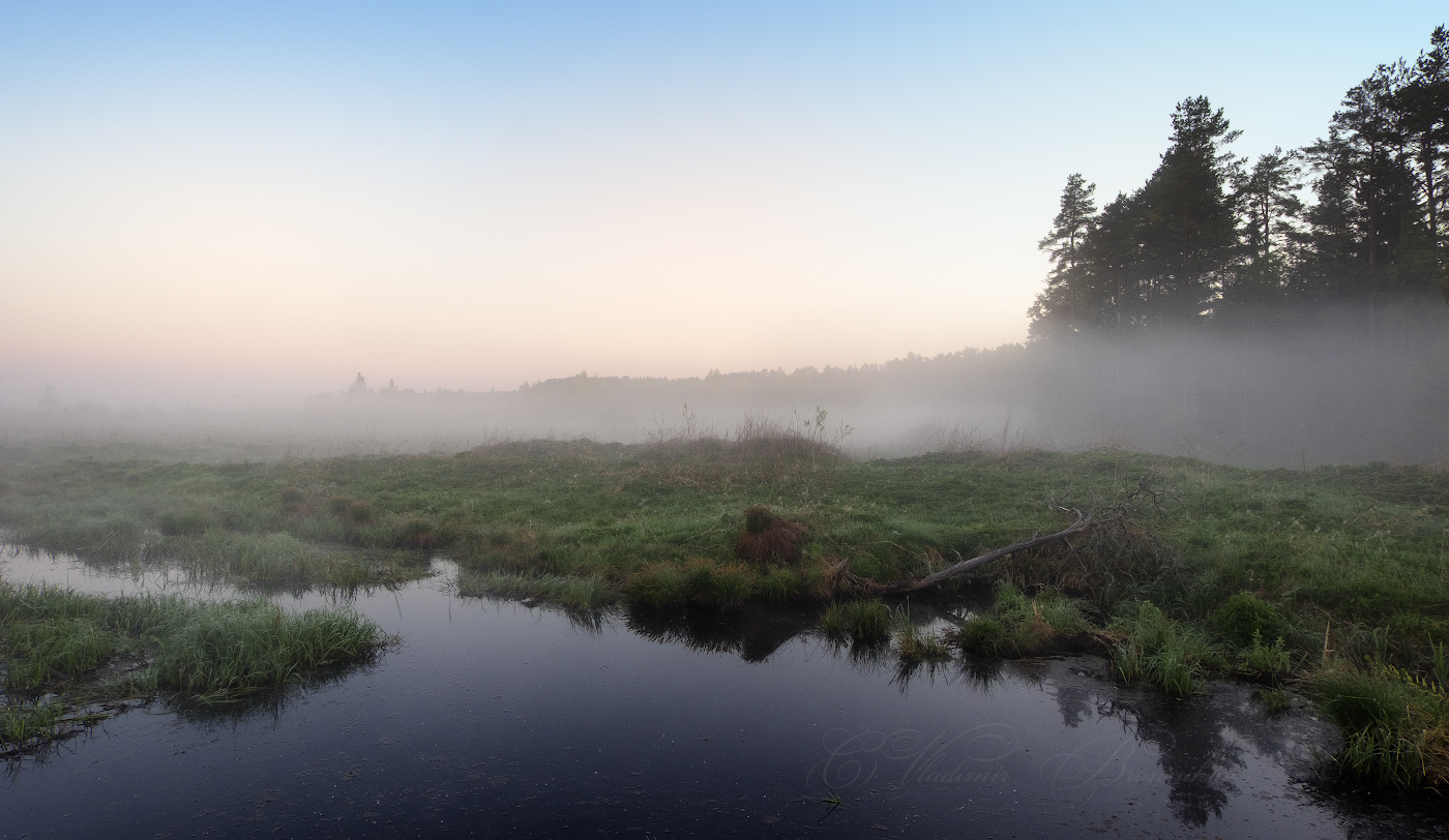 Дремота майского утра