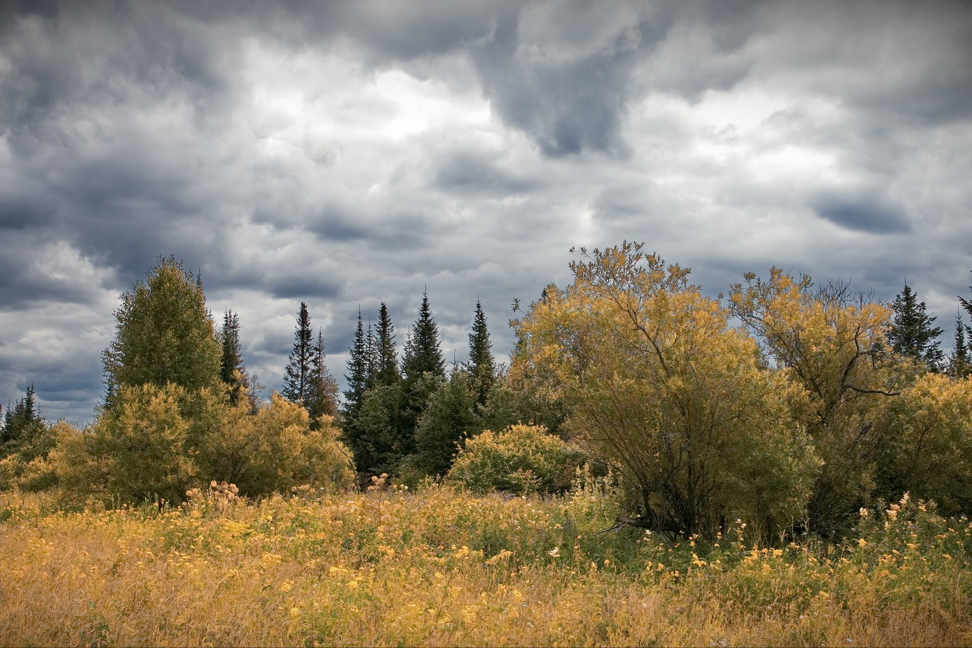 Хмурый день