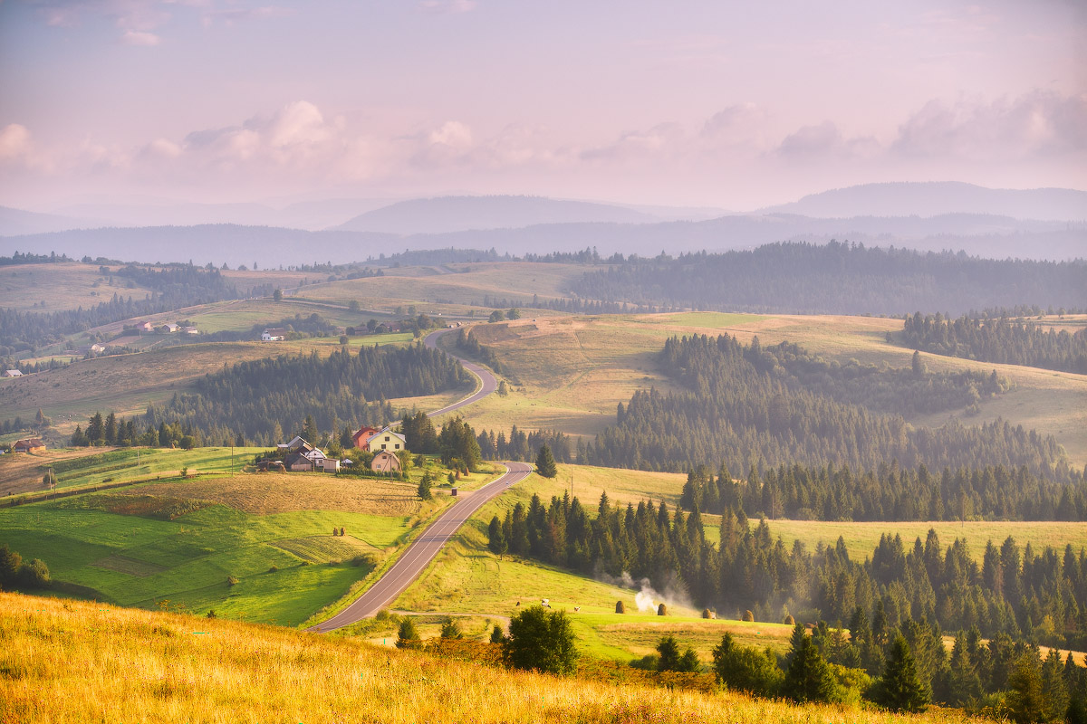 Карпаты. Июльская вечерняя
