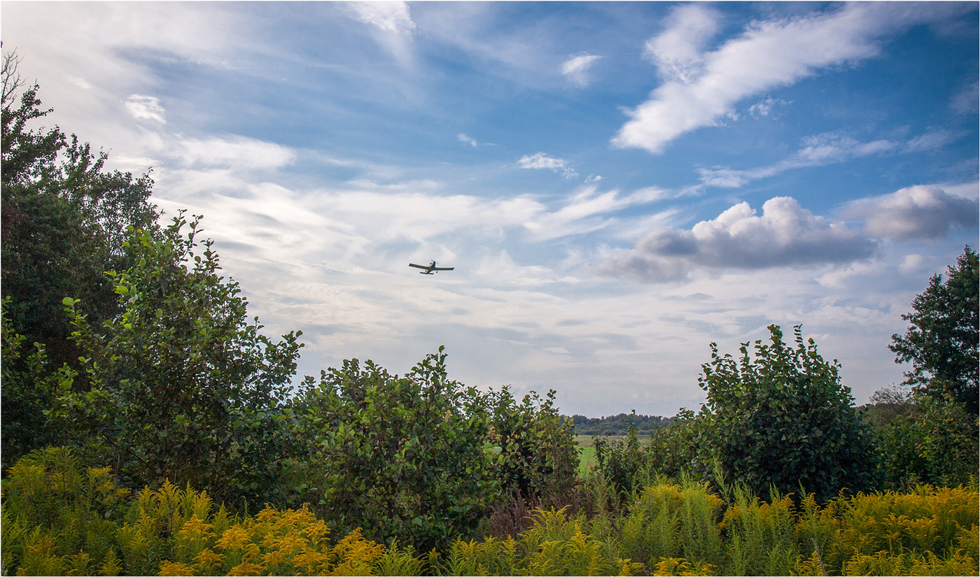 Навстречу к солнцу.